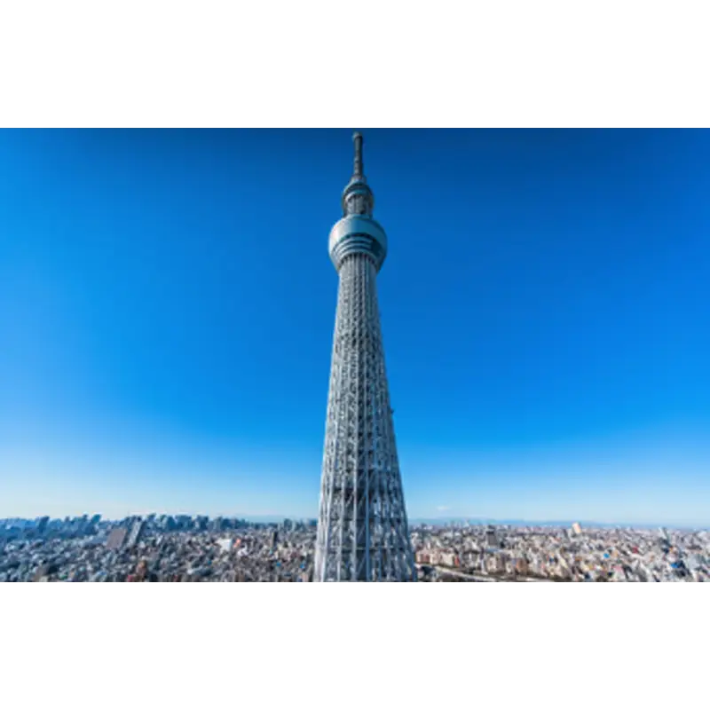  겨울 일본 여행 도쿄 지역 시즌 1