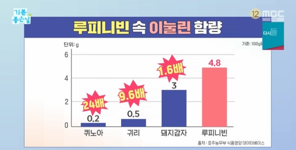 당뇨콩 루피니빈 콩효능 먹는법 정보 안내