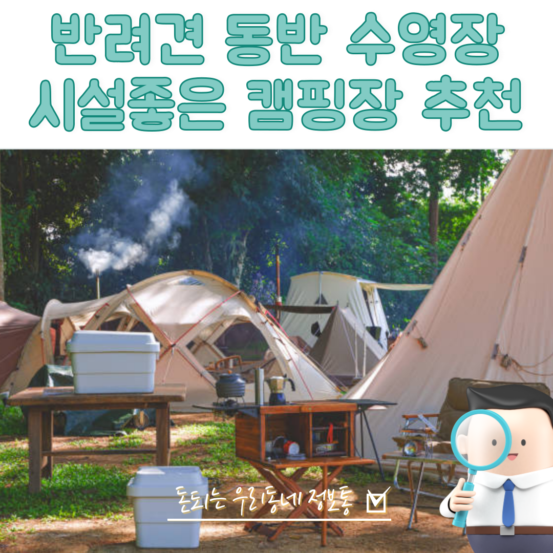  반려견 동반 시설 좋은 캠핑장 추천 (물놀이 가능)