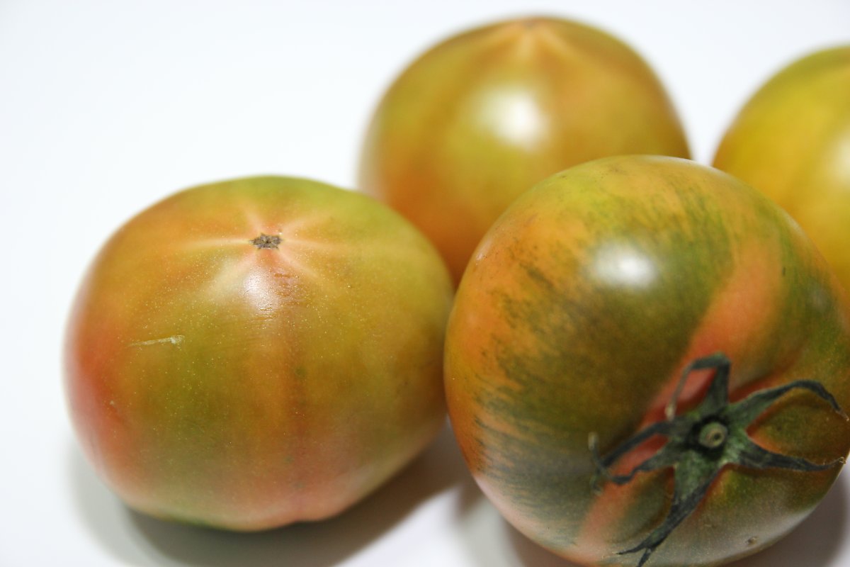 대저토마토 솔티토마토