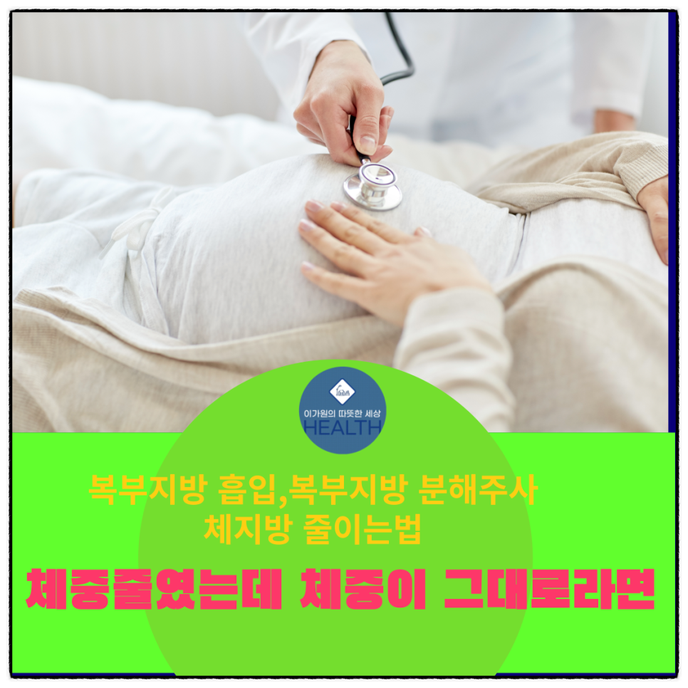 체지방 줄이는 법, 복부지방 흡입, 분해주사