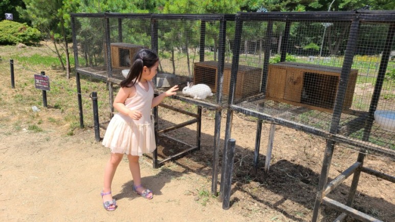 서울 근교 아이와 갈만한곳 [서울근교 갈만한곳] 남양주 산들소리수목원 22