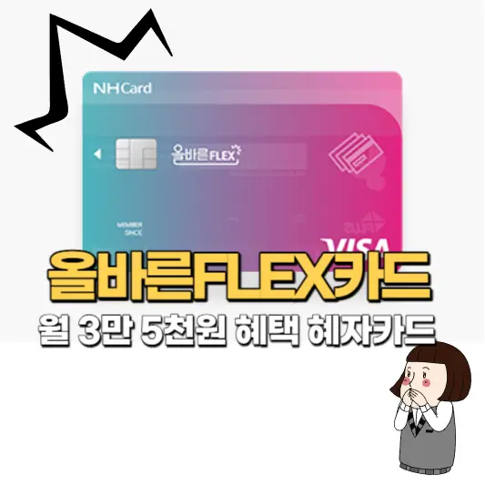 올바른FLEX카드(2030추천카드)