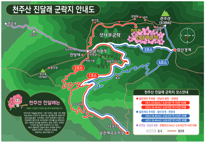 천주산 진달래축제 진달래 군락지 안내도