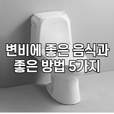 변비해결방법