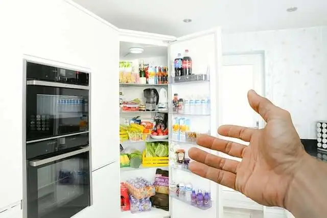 냉장보관 하면 좋은 채소