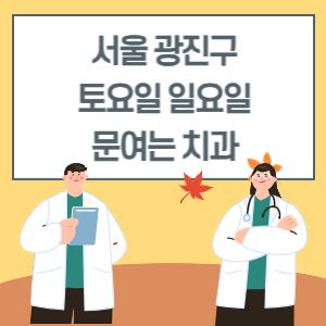 서울 광진구 토요일 일요일 치과 진료 병원