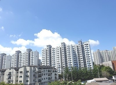  공기정화숯 이게 말이 되나요?
