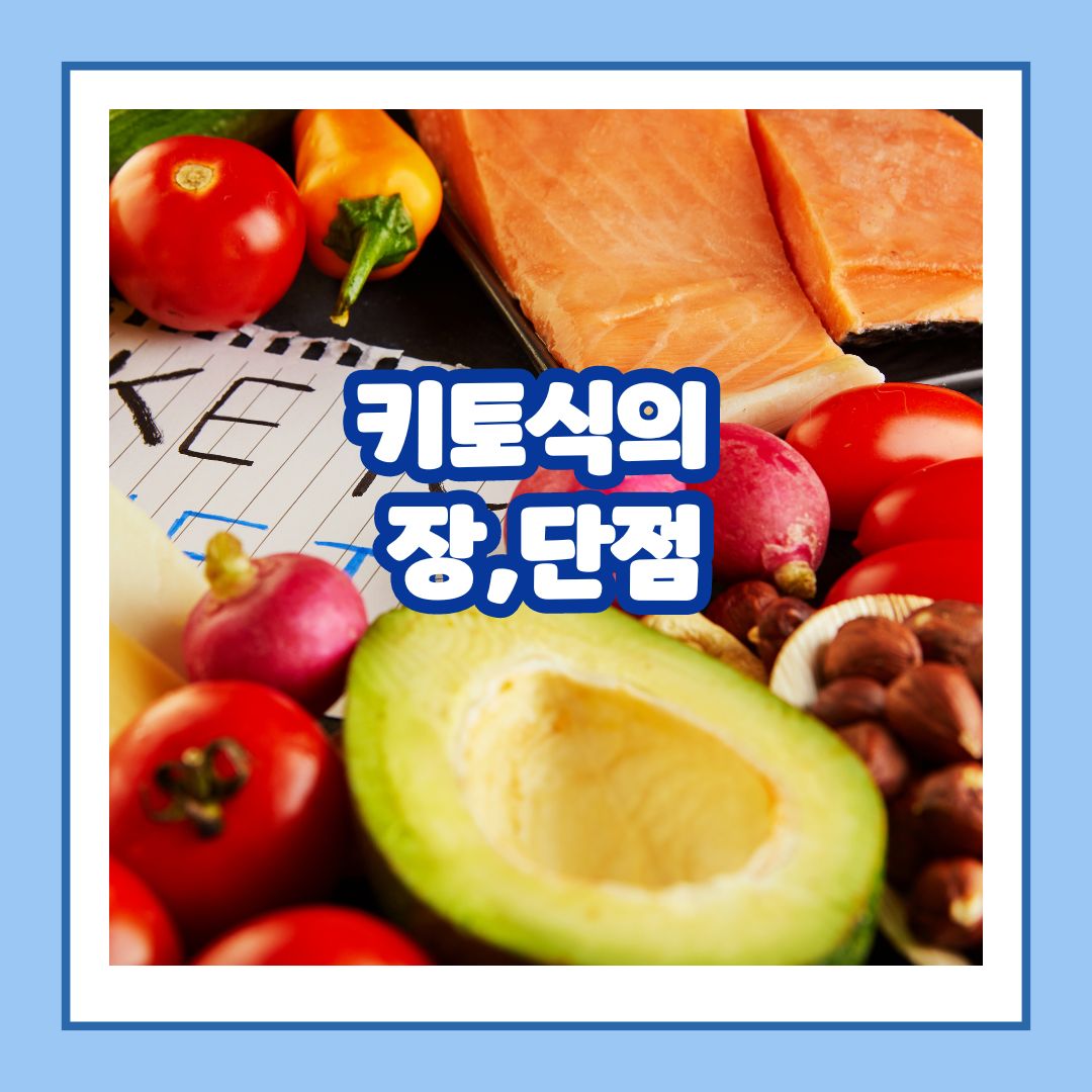 키토식의 장,단점