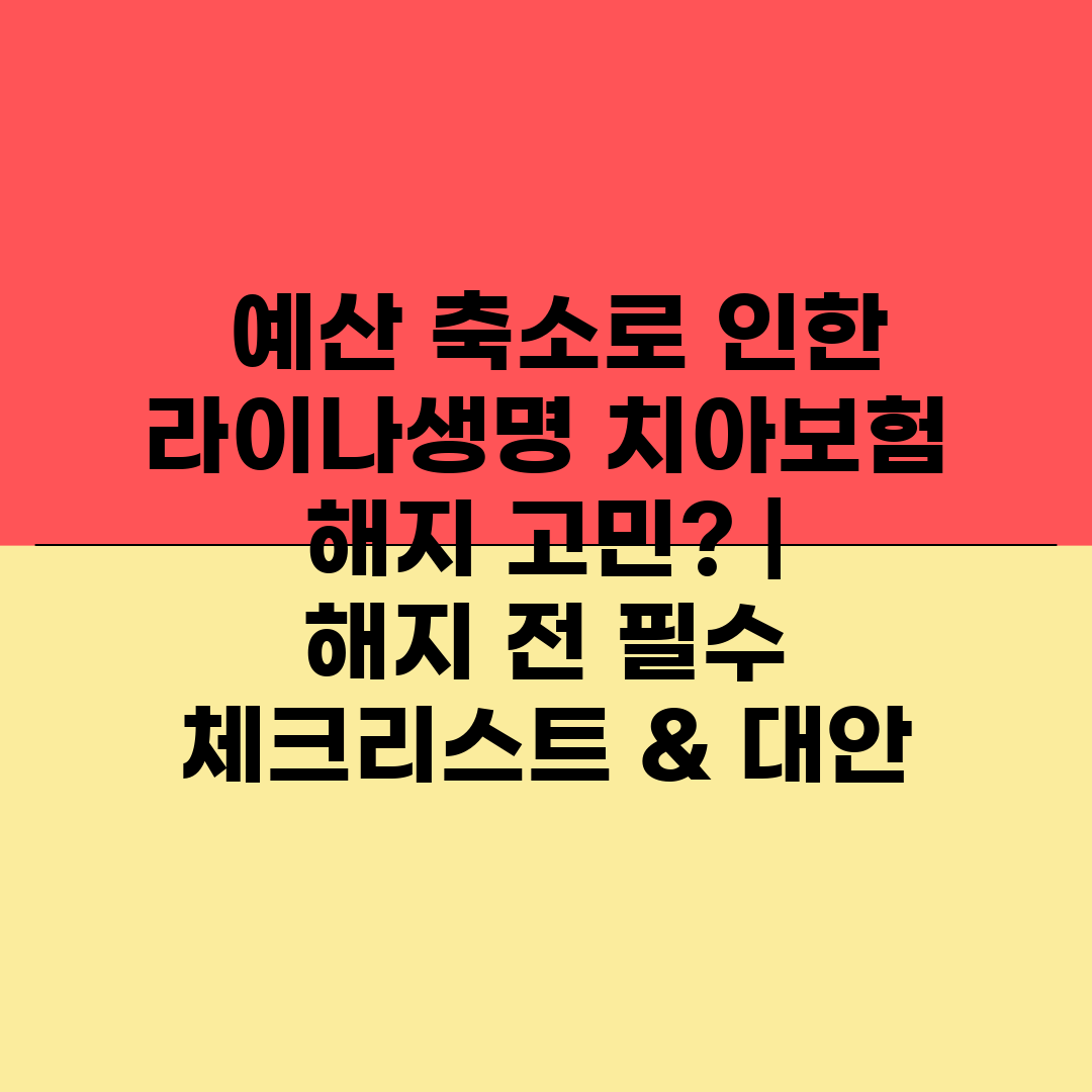  예산 축소로 인한 라이나생명 치아보험 해지 고민  해