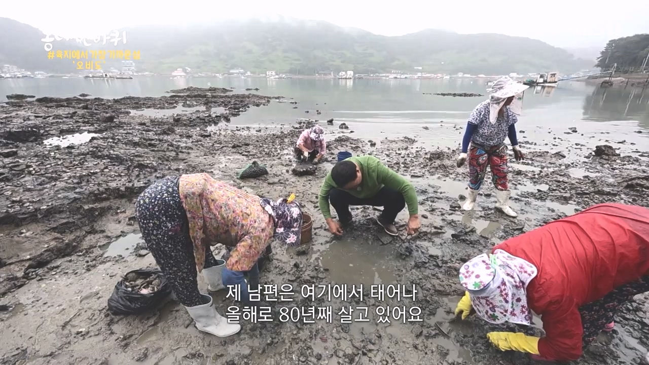 동네 한 바퀴.E243.231015p-NEXT.mp4_20231015_184159.255.jpg