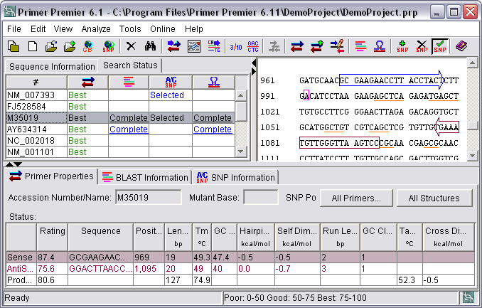 PCR 프로그램