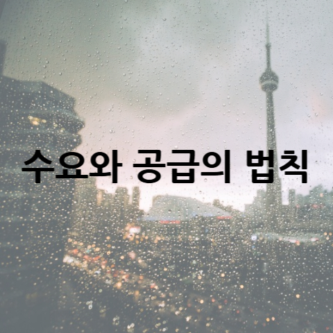 수요와-공급의-법칙
