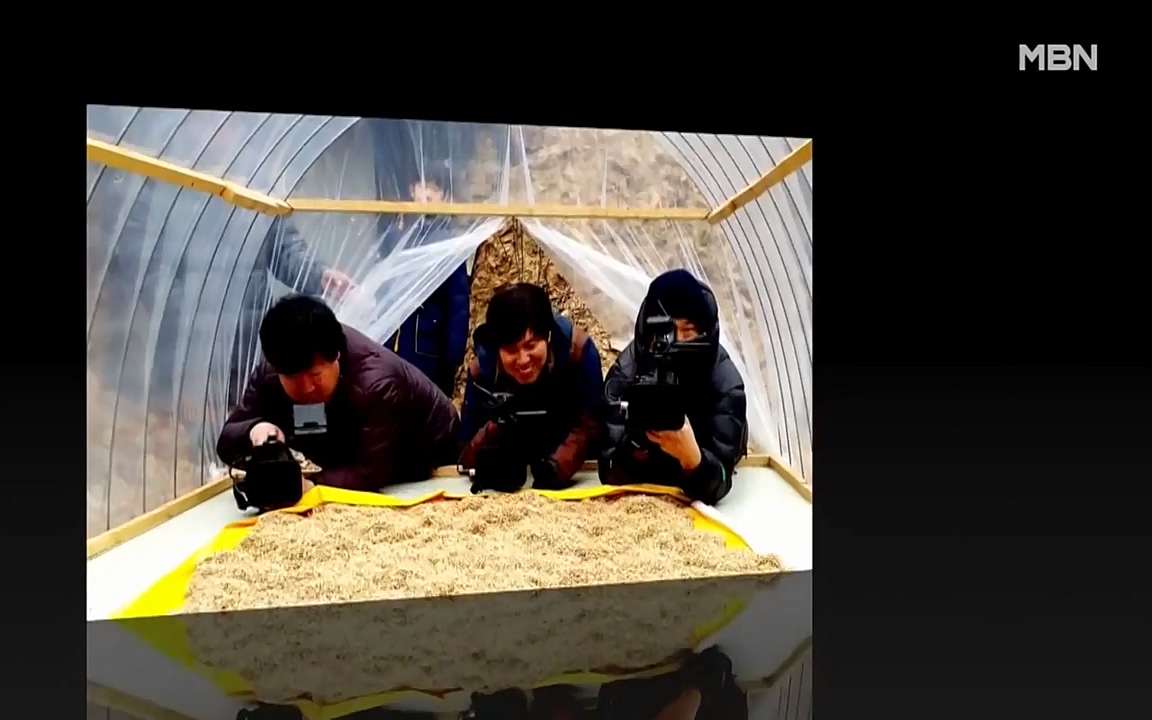 나는 자연인이다.E500.220505p-NEXT.mp4_20220505_180240.151.jpg