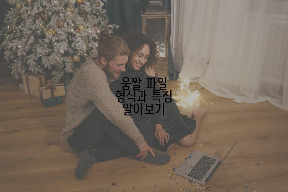 움짤 파일 형식과 특징 알아보기