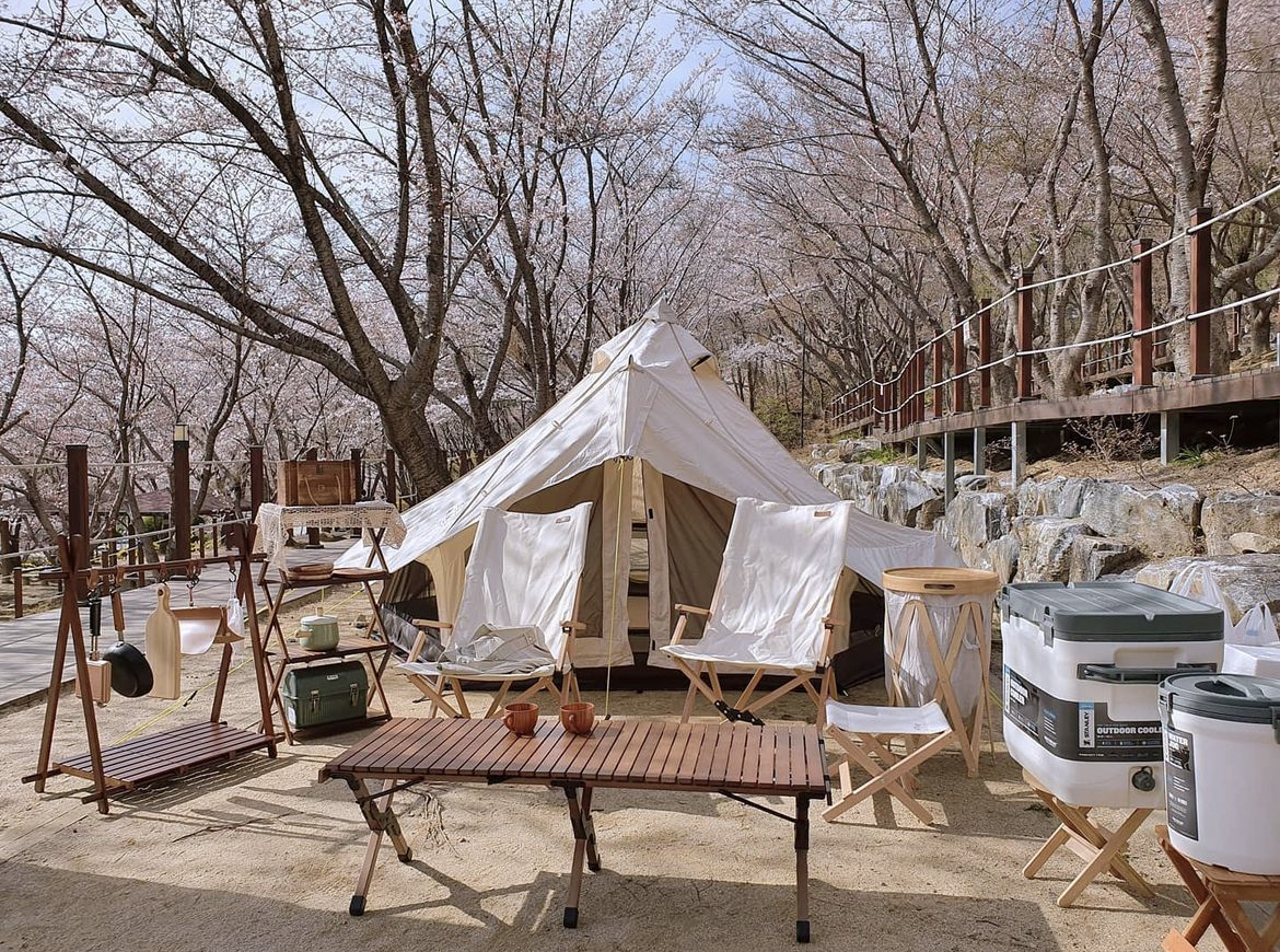  [대구근교 캠핑장][벚꽃캠] 칠곡 팔공산 가산산성야영장 B 226번 (2021.04.02 - 2022.04.03)