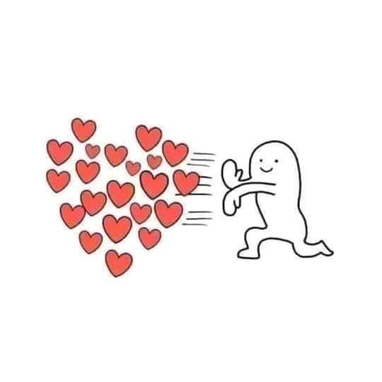 엔토리 이미지