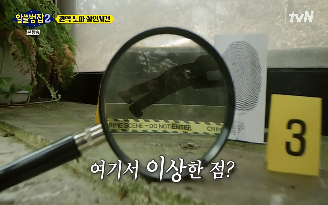 알쓸범잡 2.E15.220425p-NEXT.mp4_20220425_182625.499.jpg