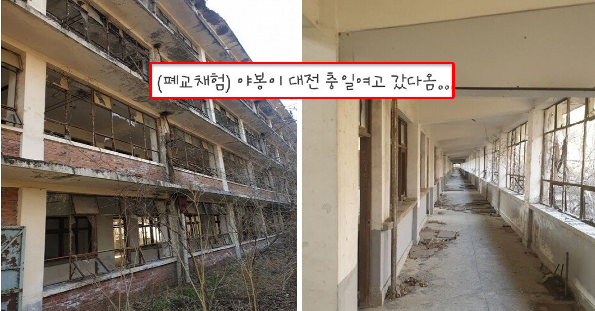  디시인의 폐교체험 후기 ㄷㄷ