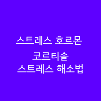  스트레스 호르몬, 코르티솔의 영향 건강 문제 및 스트레스 해소법