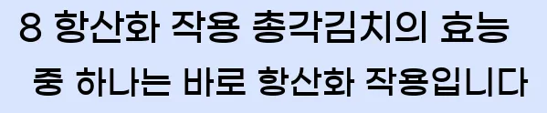  8 항산화 작용 총각김치의 효능 중 하나는 바로 항산화 작용입니다