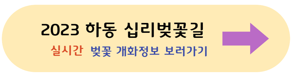 하동 십리벚꽃길 안내