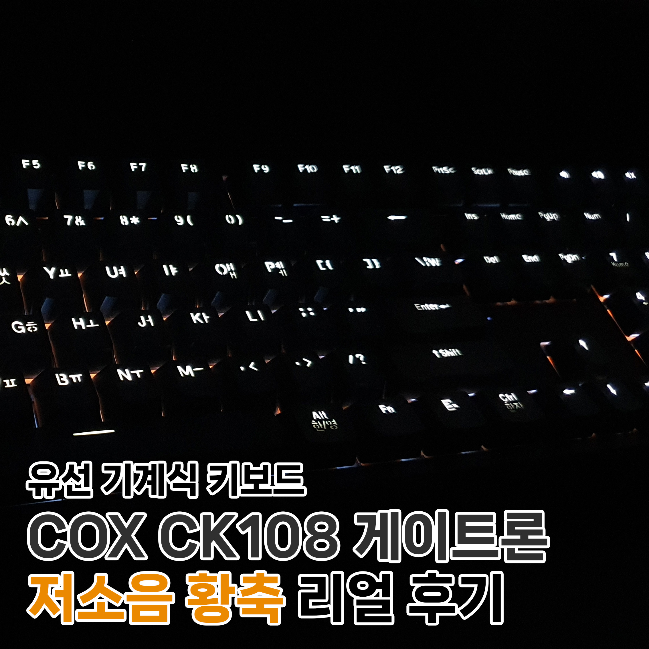  당근에서 컴퓨터 팔아서 산 유선 기계식 키보드 COX CK108 게이트론 저소음 황축 리얼 후기