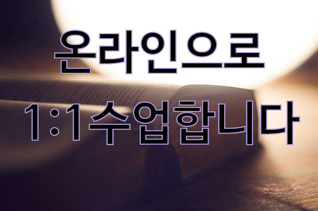  1:1 수업 안내