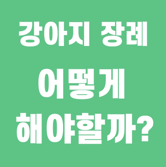  강아지 장례에 대해 알아보자