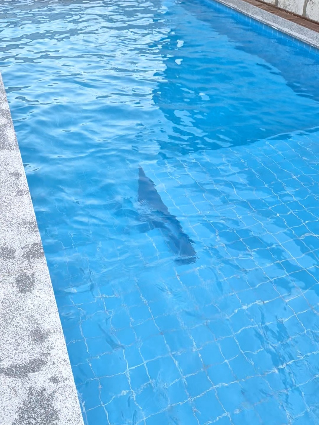 전주펜션 이미지