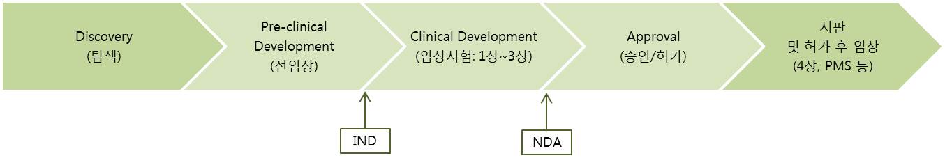 신약개발과정