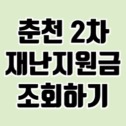 춘천 2차 재난지원금 신청방법 조회 사용처