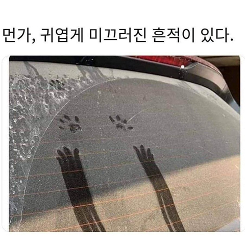  뭔가 커엽게 미끄러진 흔적.jpg