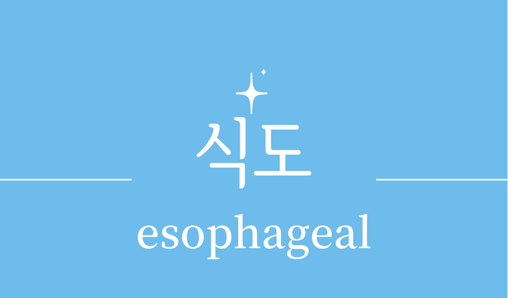 &#39;식도(esophageal)&#39;