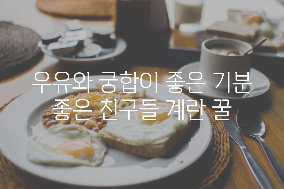 우유와 궁합이 좋은 기분 좋은 친구들 계란 꿀