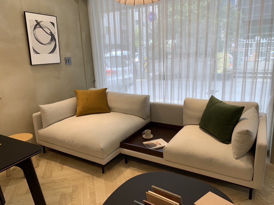 잭슨카멜레온, 플랜트란스 11