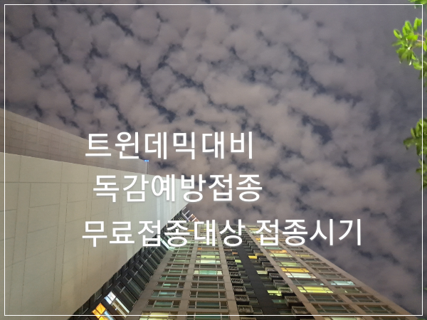  트윈데믹 대비 독감예방접종 무료접종대상 접종시기