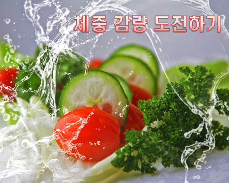 현실적인 체중 감량에 도전하자