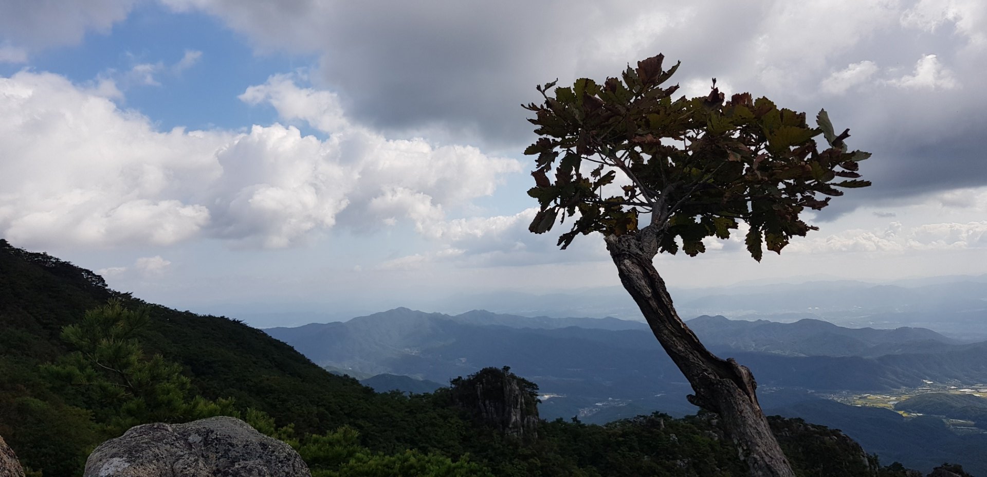대구 영천 팔공산