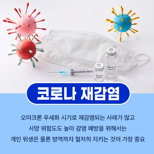 코로나19 재감염