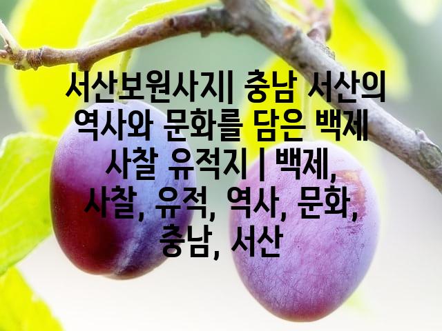 랜덤185