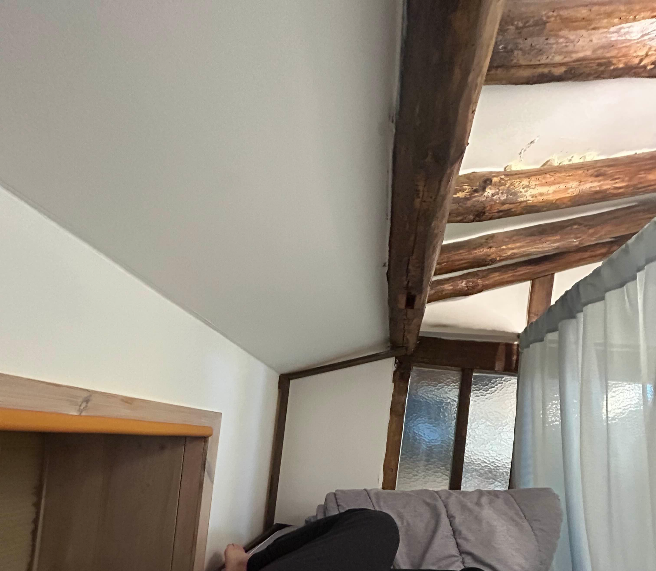삼식이네 이미지