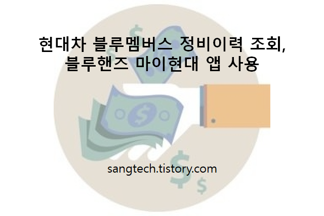 현대차 정비 이력, 블루핸즈 정비 이력 마이현대 앱 사용 8