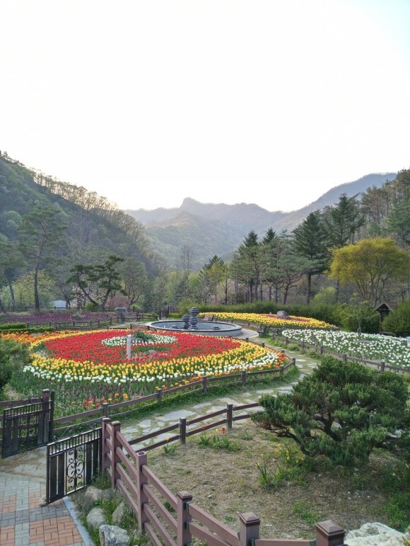 대아수목원
