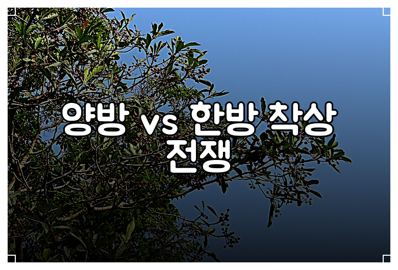 양방 vs 한방 착상 전쟁