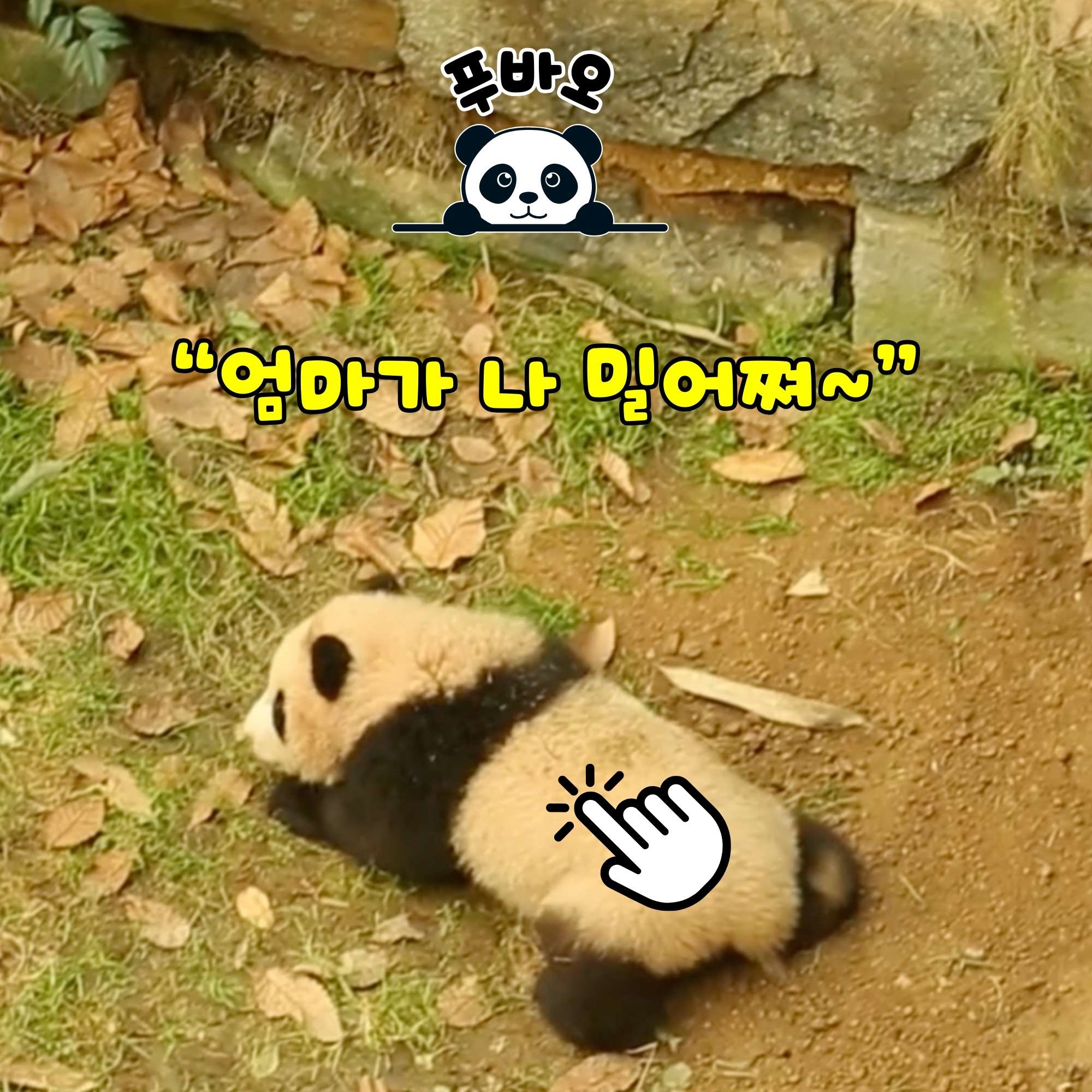 에버랜드 PANDA VOICE - 푸바오