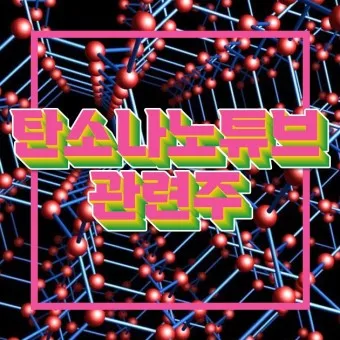 탄소나노튜브 대장주 관련주 TOP5_2