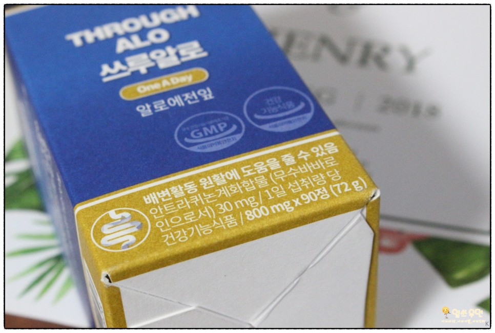 식용알로에 15