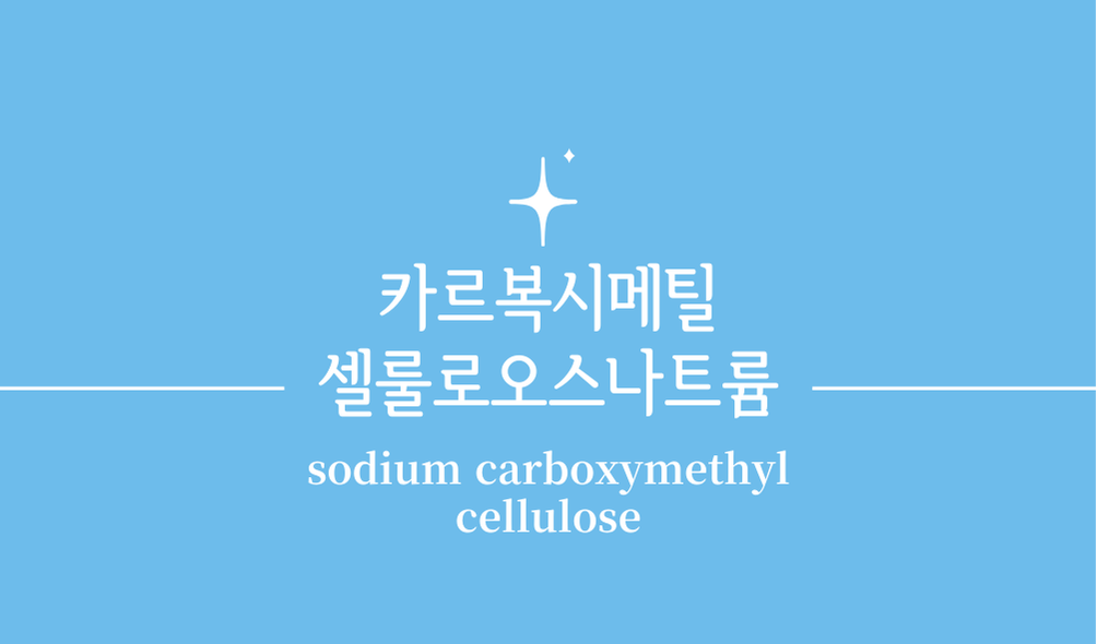 '카르복시메틸셀룰로오스나트륨(sodium carboxymethyl cellulose)'