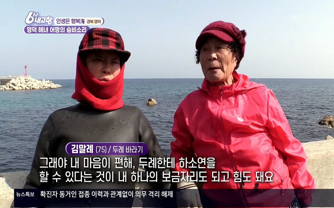 6시 내고향.E7498.220329p.H264-F1RST.mp4_20220329_184057.915.jpg